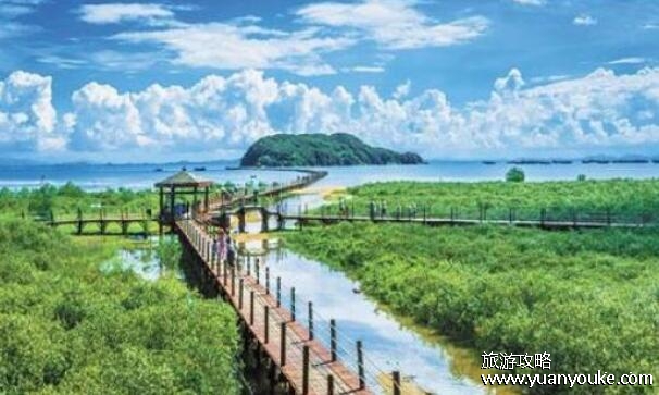山口红树林湿地公园面积多大，面积有8000多公顷(自然环境优美)