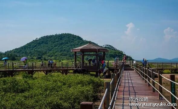 山口红树林湿地公园面积多大，面积有8000多公顷(自然环境优美)