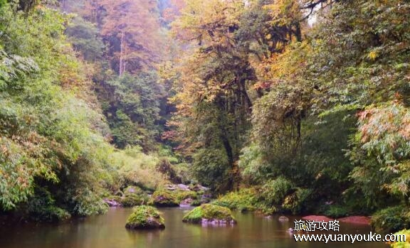 龙苍沟在四川什么地方，在乐山市峨眉山市(拥有壮观的瀑布景观)