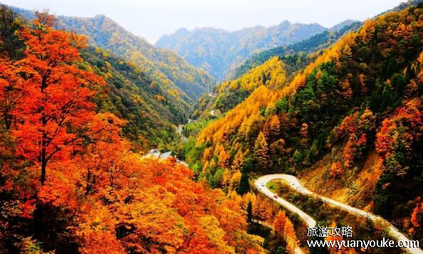 光雾山风景区门票价格是多少，正常票价120元(优惠政策众多)