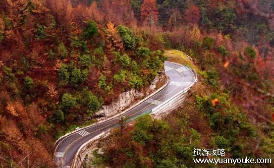 光雾山风景区门票价格是多少，正常票价120元(优惠政策众多)