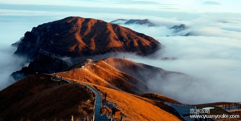 武功山在哪里哪个省,在江西和湖南交界处(海报很高云海很美)