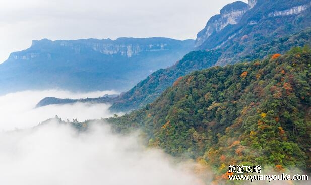 重庆金佛山好玩吗，值得一去的旅游景点(古代历史遗迹众多)