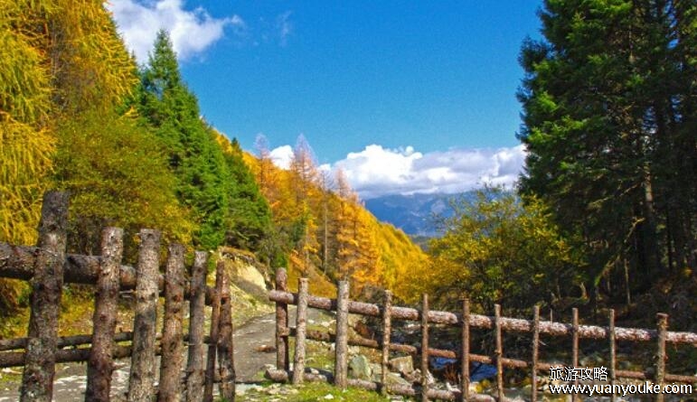 神木垒景区海拔多少米，2300米左右(高海拔造就的美丽风景区)
