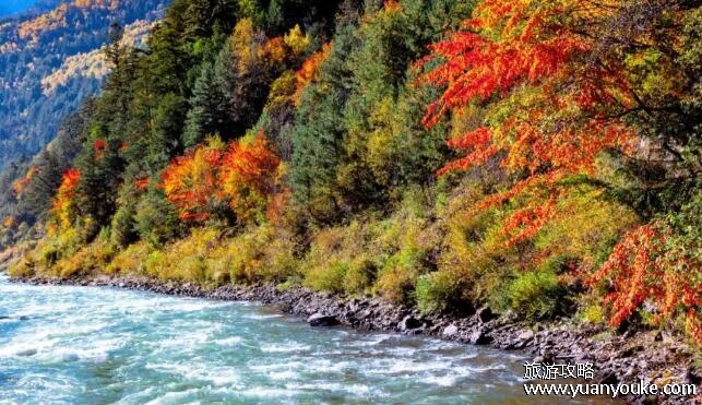 米亚罗风景区海拔多少，在2000-3000米之间(著名的红叶风景区)