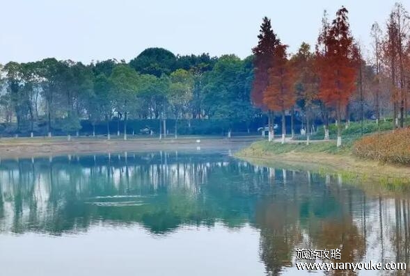 升仙湖属于哪个区，在成都市成华区(历史文化底蕴深厚的景点)