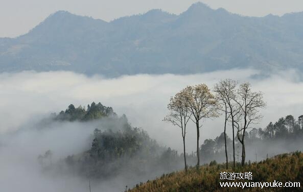 雾中山海拔多少米，海拔高达1638米(景区拥有壮观的自然景观)