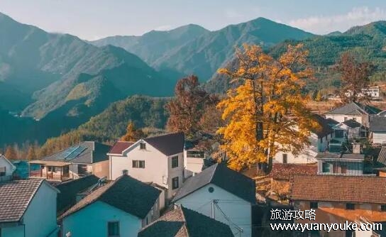临安是现在的哪个城市，在杭州市内(在浙江的天目山区附近)