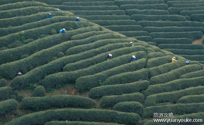杭州旅游攻略必去景点推荐
