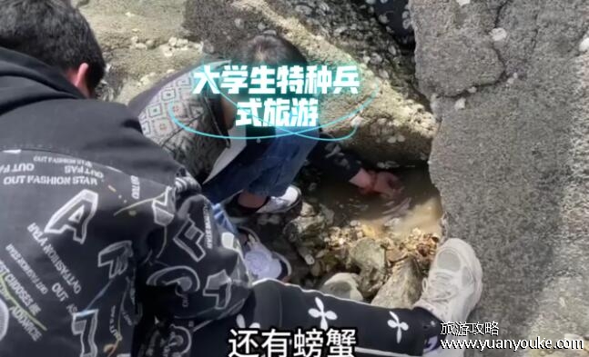特种兵式旅游是什么意思