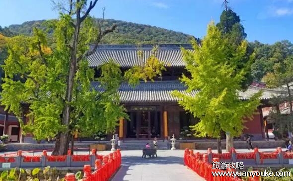 玉泉寺在哪个城市，在湖北省荆门市(有着1900多年历史的古寺)