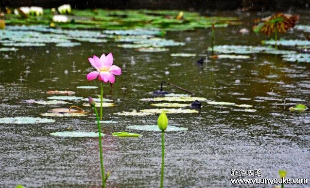 梅雨季节是什么时间，每年6月中旬到7月中旬