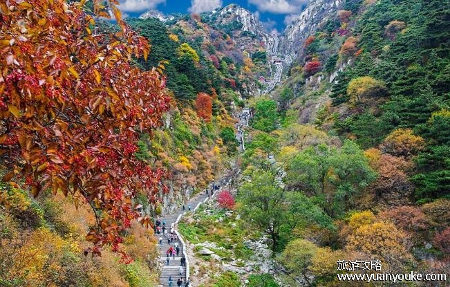 泰山在哪个省哪个市
