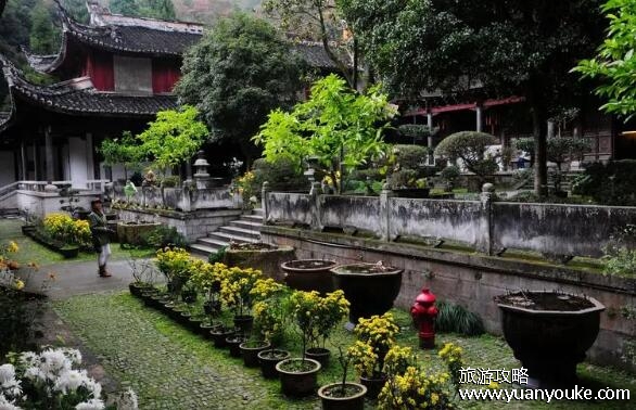 国清寺门票多少钱一张，最贵也就10块钱(两种不同类型门票)
