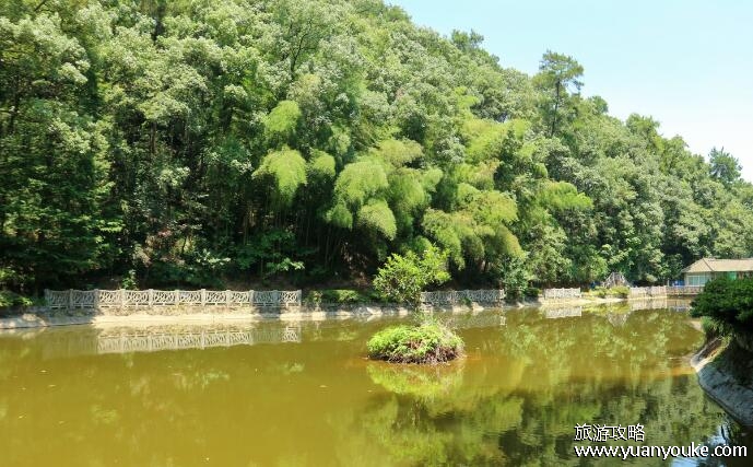 歌乐山森林公园好玩吗，山水壮丽的旅游胜地(适合全家一起出游)