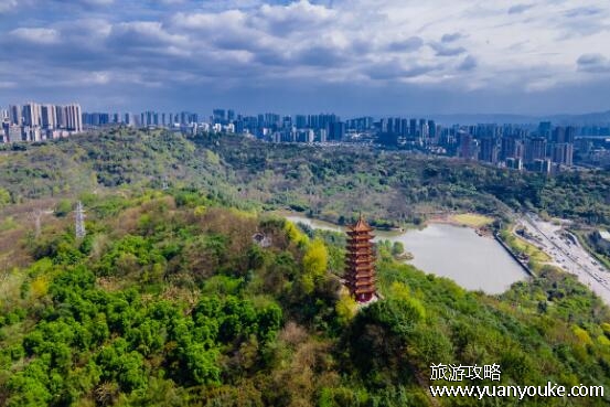 照母山森林公园在哪里，重庆市渝北区(自然景观迷人的美丽公园)