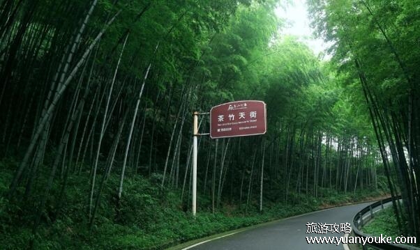 永川茶山竹海好玩吗，非常在值得一游的景点(竹文化历史悠久)