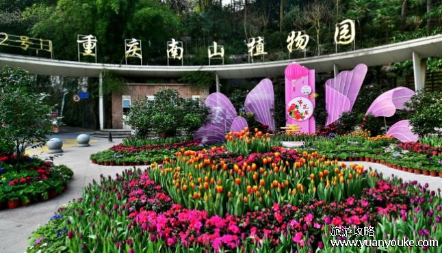 重庆南山植物园值得去吗，四季景色各不相同(适合带孩子一起玩)