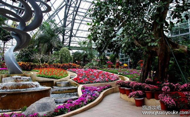 重庆南山植物园值得去吗，四季景色各不相同(适合带孩子一起玩)