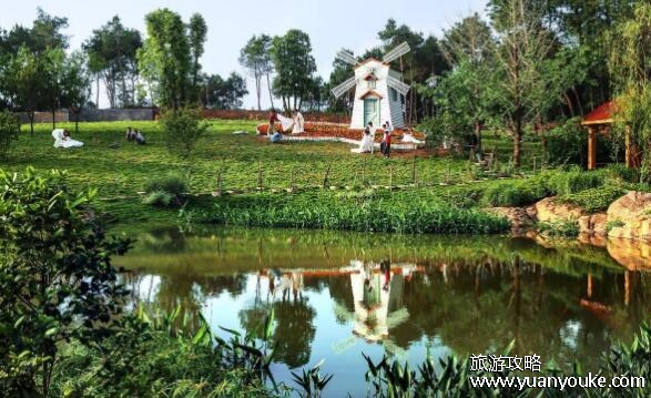 重庆铁山坪森林公园好玩吗，值得一去的旅游景点(山林风光独特)
