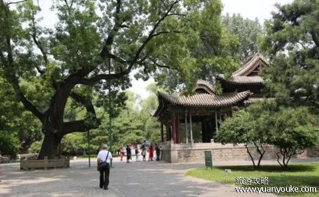 太原晋祠公园好玩吗，太原市最著名的景点之一(文化底蕴深厚)