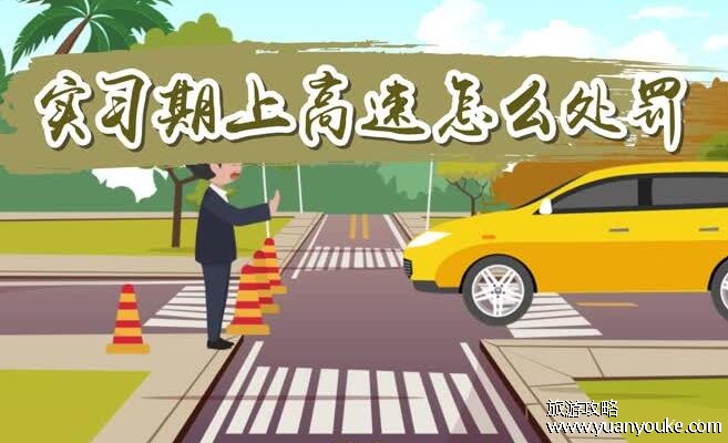 实习期上高速怎么处罚，独自上高速将罚款200元(实习期将被延长)