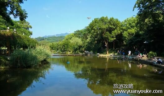 深圳东湖公园好玩吗，面积超大的美丽城市公园(文娱设施众多)