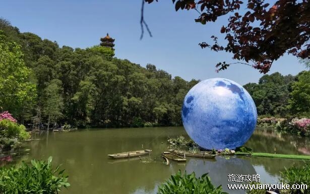 仙湖植物园门票价格多少钱，15元1人(特殊群体凭证可以免费进入)