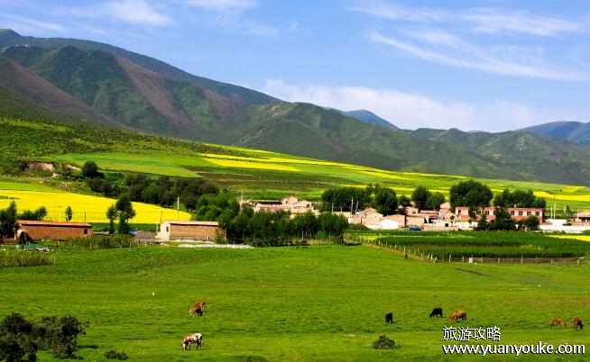 青海旅游攻略必去景点大全