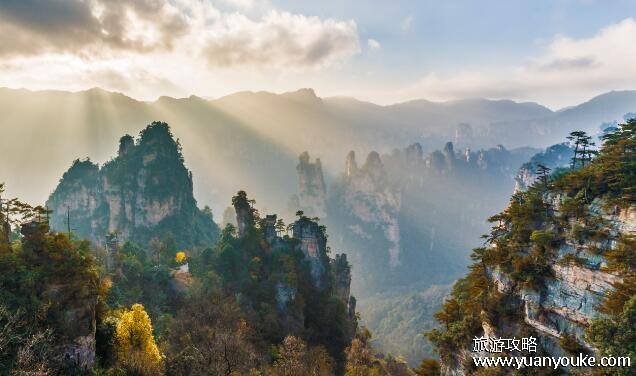 张家界要门票吗2023，部分景区特定人员免票(张家界大峡谷免票)