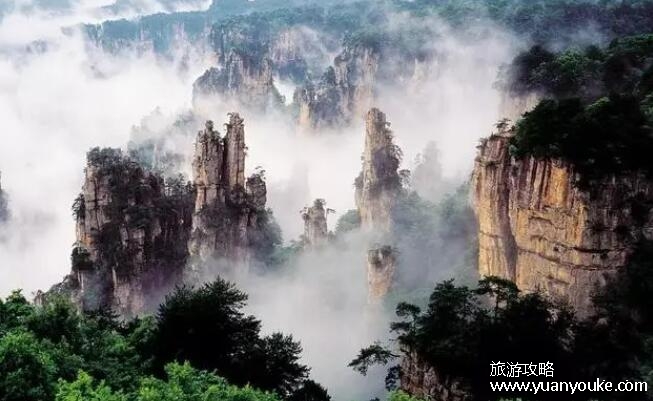 张家界要门票吗2023，部分景区特定人员免票(张家界大峡谷免票)