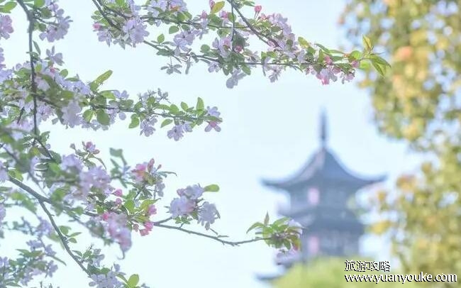 乌镇几月去合适，3月至5月中旬(能够赶上乌镇的香市活动)