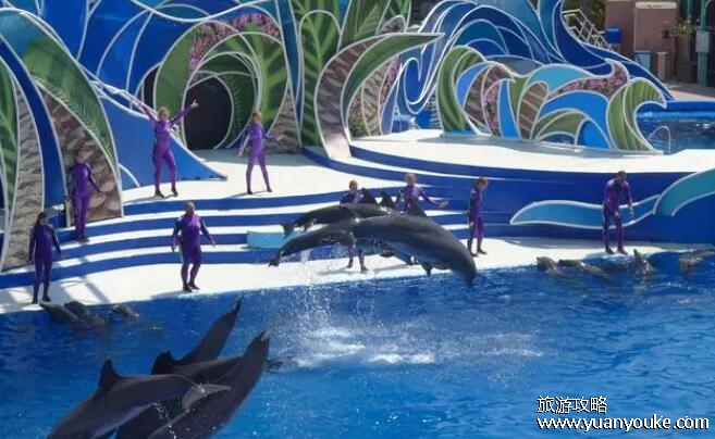 为啥说尽量别带孩子去海洋馆