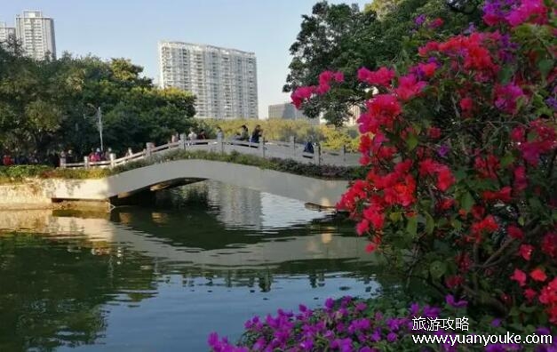 广州流花湖公园要门票吗，免费参观的景点(值得一游的美丽公园)