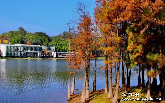 麓湖公园在哪里，广州市越秀区(景色秀丽的美丽城市公园)
