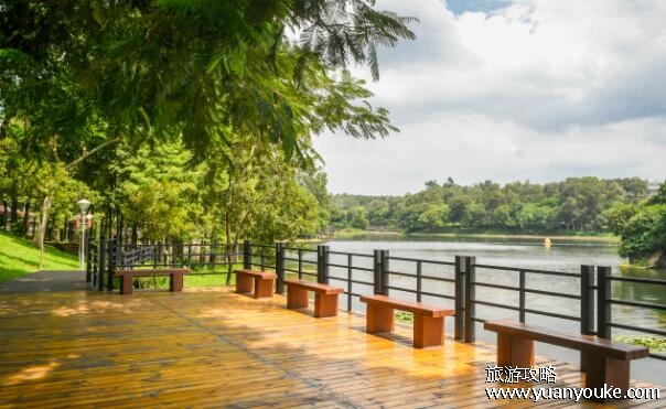 麓湖公园在哪里，广州市越秀区(景色秀丽的美丽城市公园)
