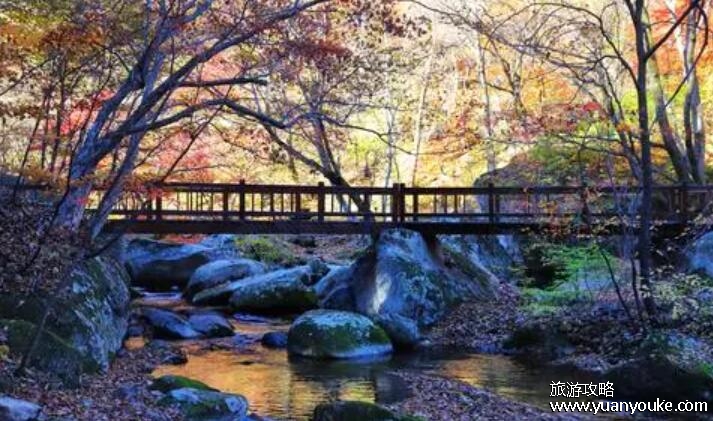 本溪老边沟好玩吗，本溪老边沟风景区简介(非常值得一游)