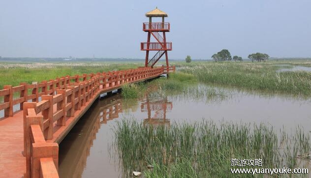 呼兰河口湿地公园在哪里，在黑龙江省哈尔滨市(湿地资源广阔)