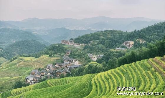 龙胜梯田在广西哪里，在桂林龙胜(这里的云海和日出非常美丽)
