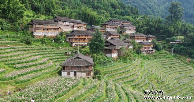 龙胜梯田在广西哪里，在桂林龙胜(这里的云海和日出非常美丽)