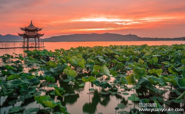 浙江旅游必去十大景点，