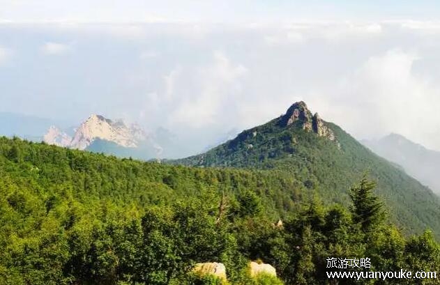 雾灵山风景区在哪里，在北京市密云区(非常适合户外活动的景点)