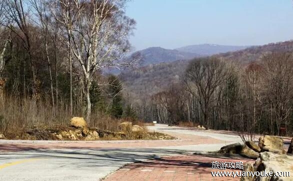 哈尔滨横头山好玩吗，山景绝美的景区(旅游活动项目众多)