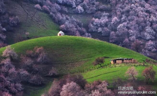 新疆旅游攻略几月份去合适？一年四季都适合(具体游玩时间推荐)