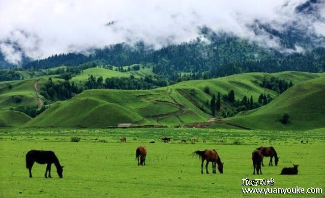 新疆旅游攻略几月份去合适？一年四季都适合(具体游玩时间推荐)