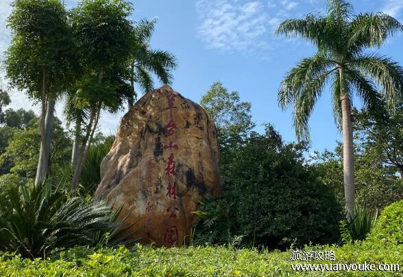 阳台山森林公园好玩吗，美丽独特的旅游胜地(城市中的净土)