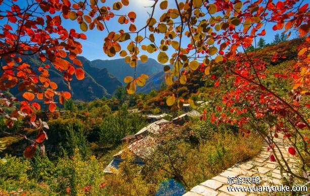 坡峰岭海拔高度是多少米，670米(美不胜收的高山风景区)