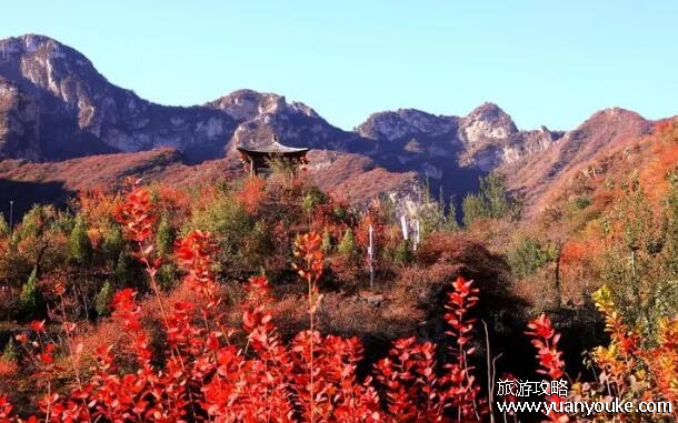 坡峰岭海拔高度是多少米，670米(美不胜收的高山风景区)