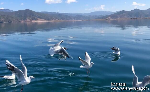 泸沽湖几月份去最好