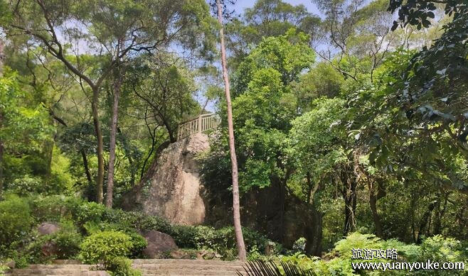 泉州清源山海拔多少米，498米(四季景色各不相同的美丽风景区)